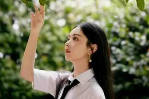 娱乐吃瓜君顶流,顶流明星背后的故事与真相